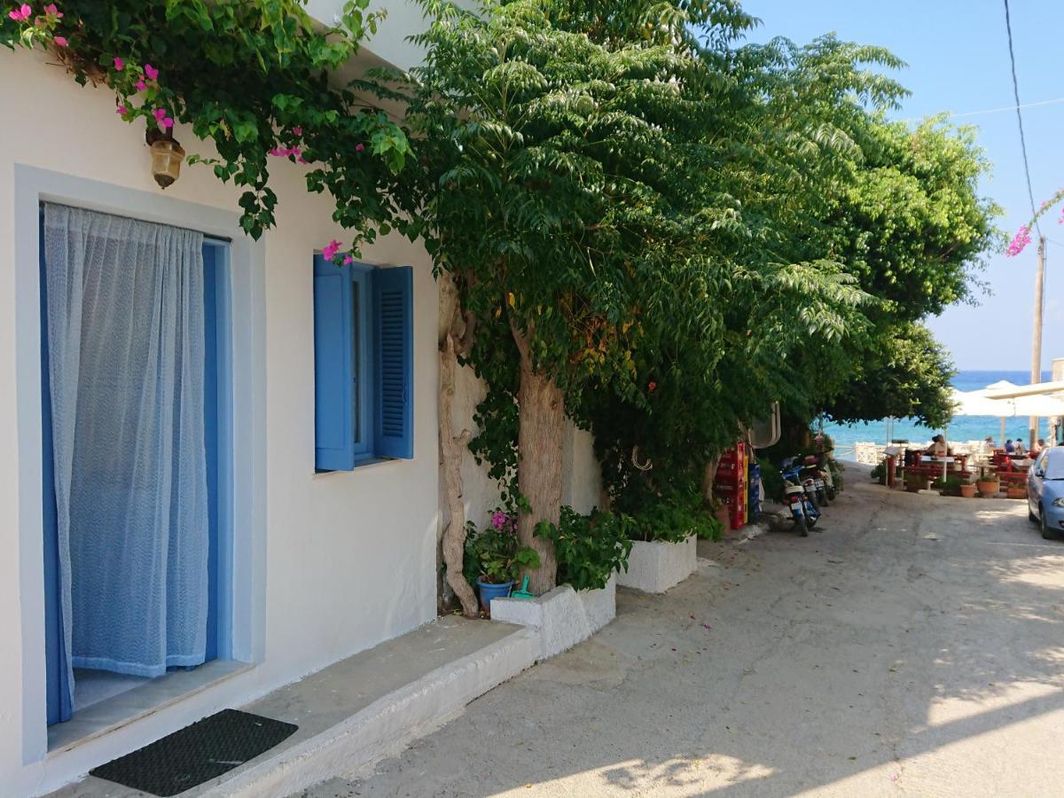 ~~ Sea Breeze Covered House ~~ 莫什劳斯 外观 照片